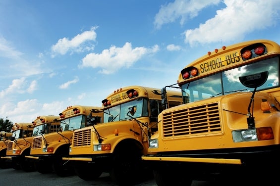 school_bus-line_of_buses.jpg
