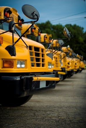 school_buses.jpg
