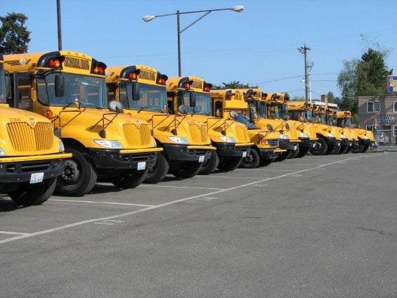 school_buses_in_a_row.jpg