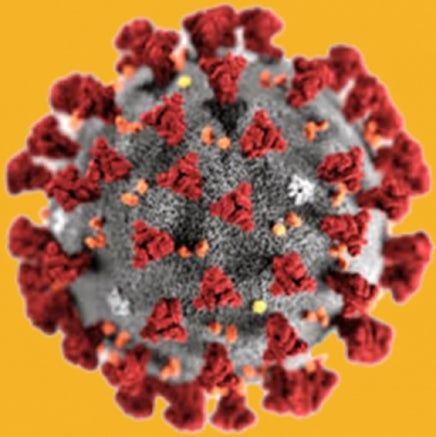 coronavirus