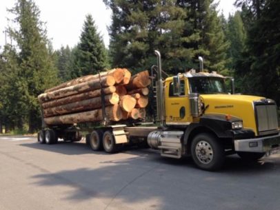 logging-trucks-western-star-4900sb-13135348