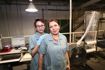 Canadian linen laundry rank and file, April 2017