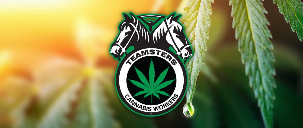 Cannabis Page Banner