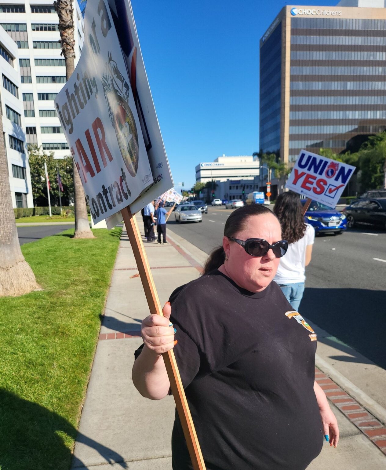 OCTA Picket 2