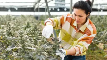 5.30.23_labor-1024x577[1]