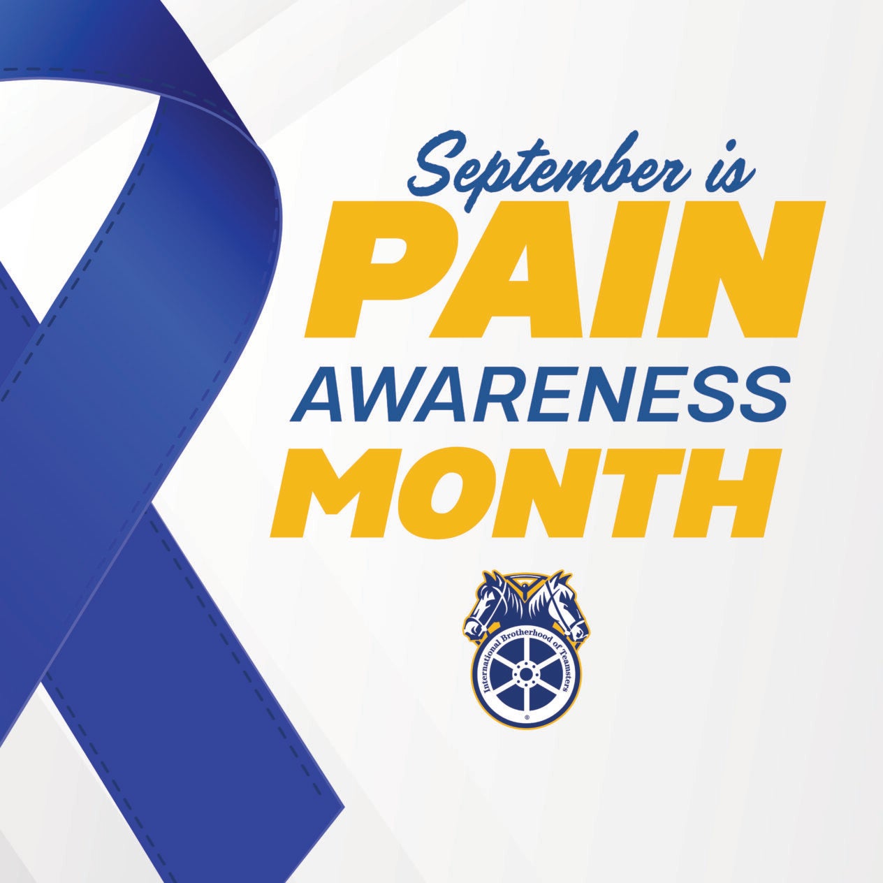 1080x1080 Pain Awareness Month